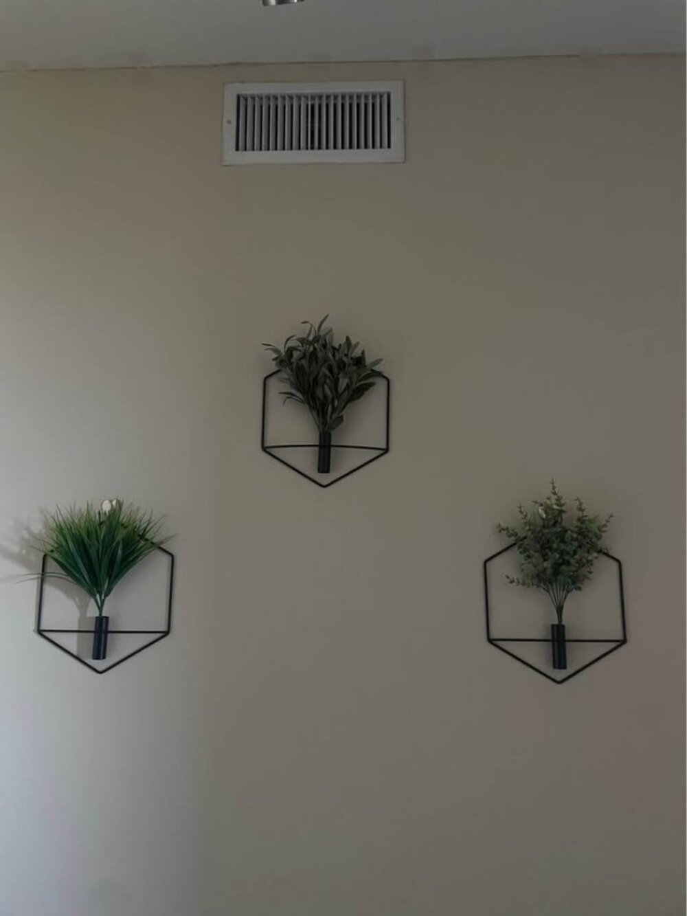 Boho Living Room Honeycomb Plant Wall Art